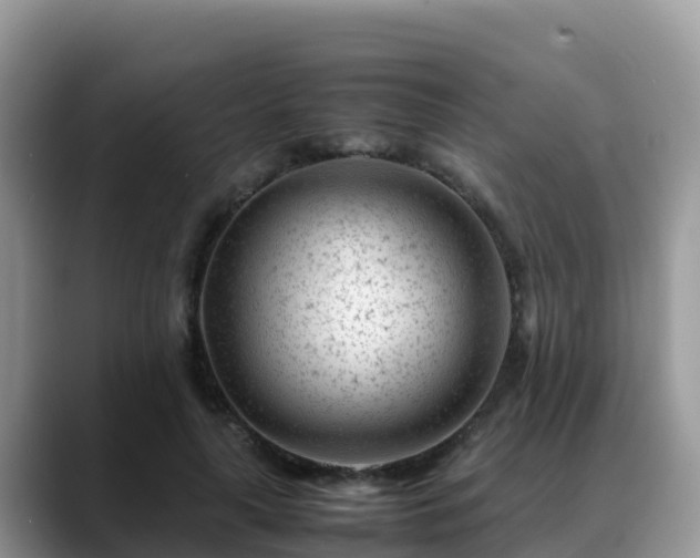 X0000088700643200706071540