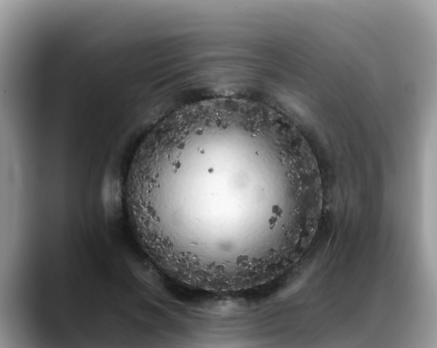 X0000088700646200706071540