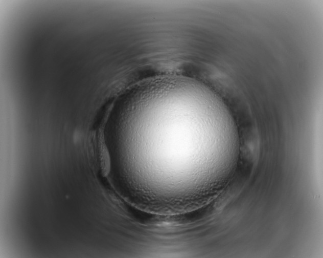 X0000088700658200706071541