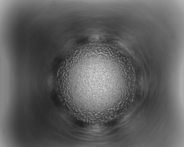X0000088700659200706071541