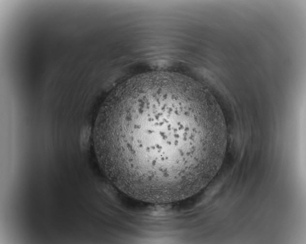 X0000088700660200706071541