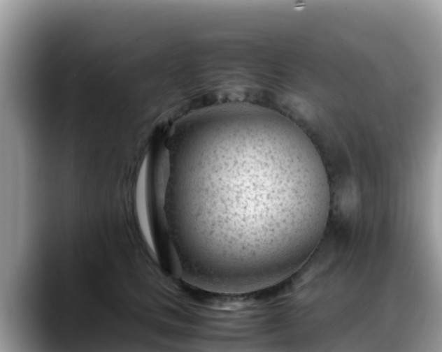 X0000088700661200706071541