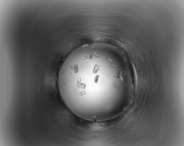 X0000088700664200706071541