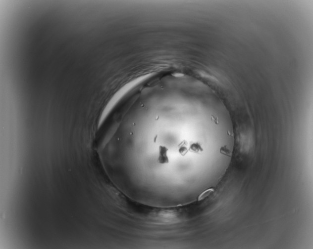 X0000088700665200706071541