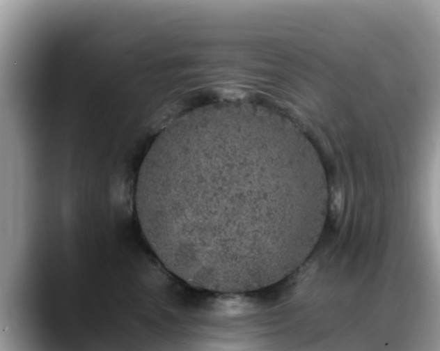 X0000088700666200706071541