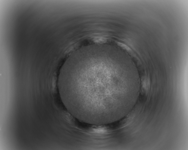 X0000088700667200706071541