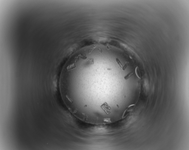 X0000088700668200706071541
