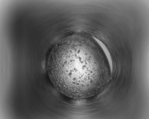 X0000088700670200706071541