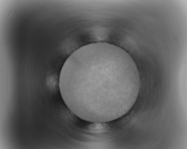 X0000088700672200706071541