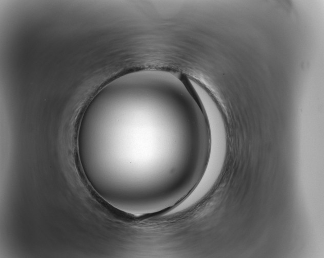 X0000088700673200706071540