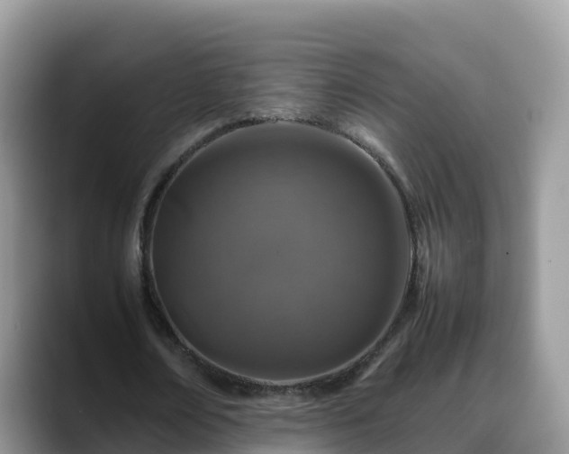X0000088700674200706071540