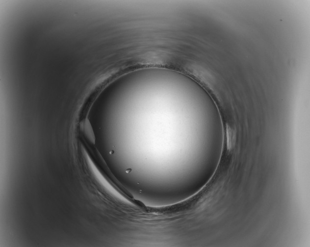 X0000088700675200706071540