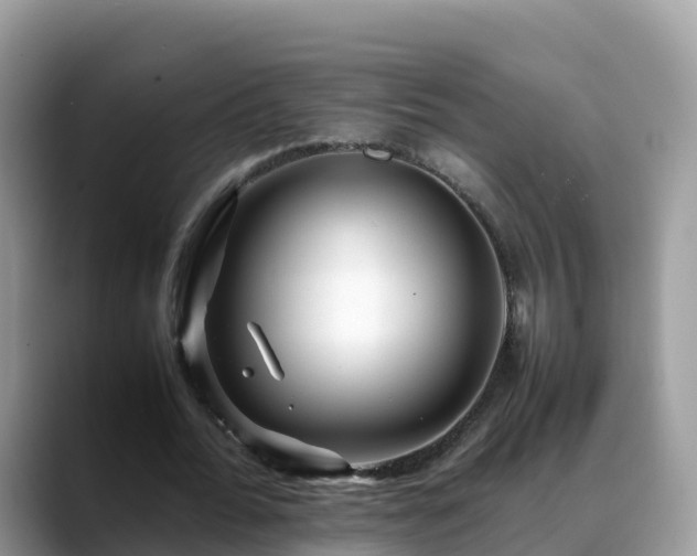 X0000088700676200706071540