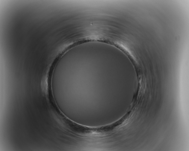 X0000088700678200706071540