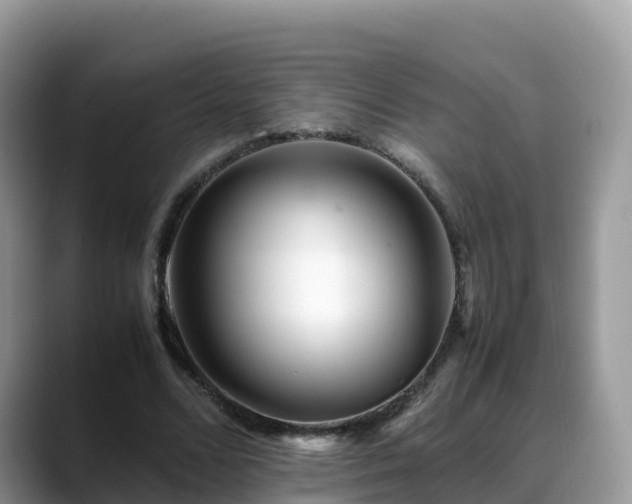 X0000088700680200706071540