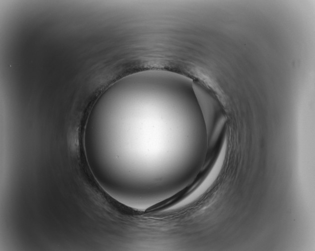 X0000088700681200706071540