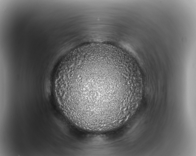 X0000088700683200706071540