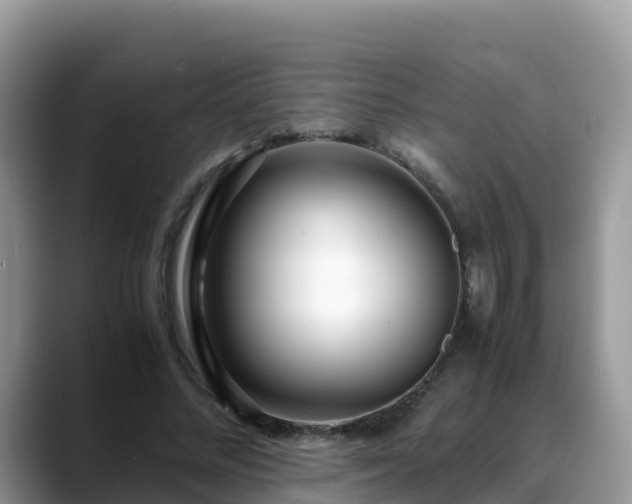 X0000088700684200706071540