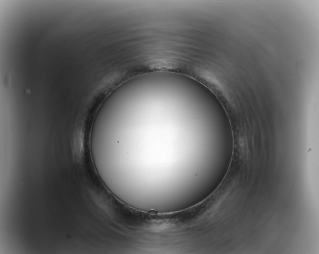 X0000088700686200706071540