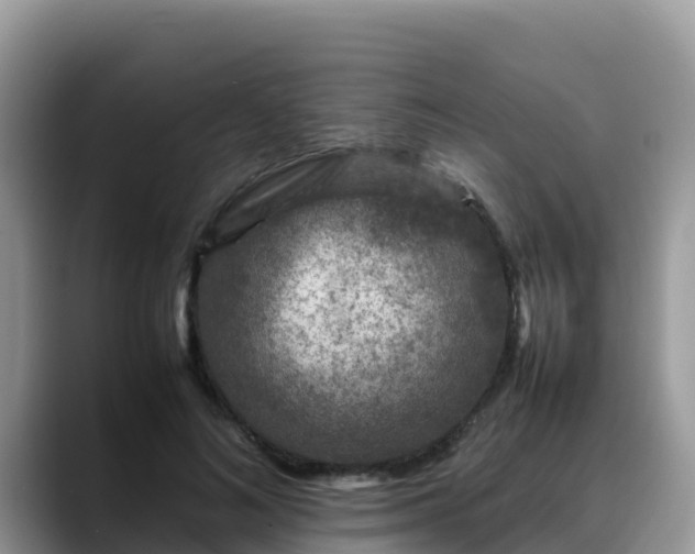 X0000088700692200706071540
