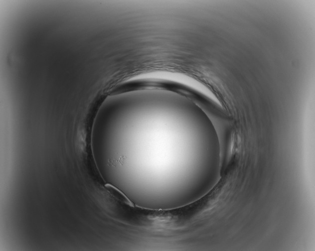 X0000088700693200706071540