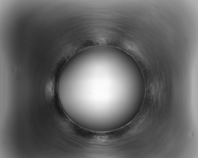 X0000088700694200706071540