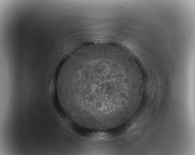 X0000088700695200706071540