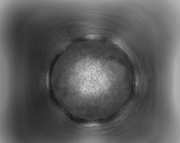 X0000088700696200706071540