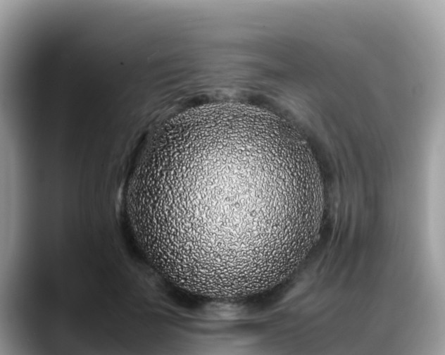 X0000088700699200706071540