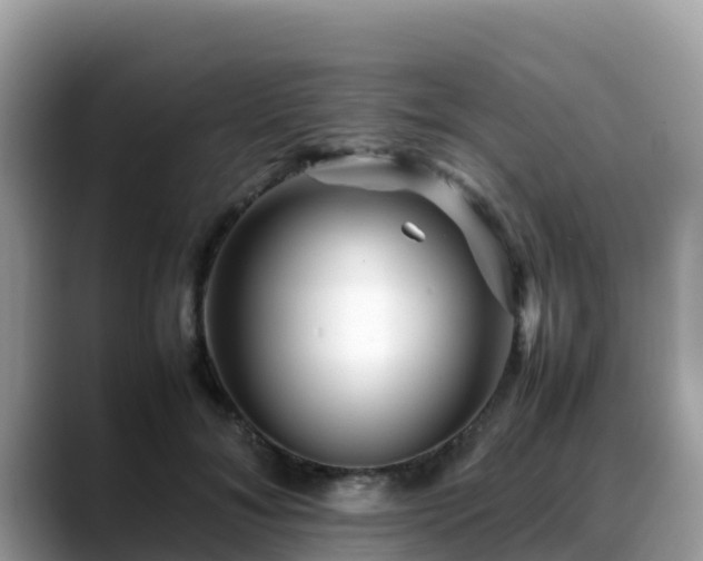 X0000088700700200706071540