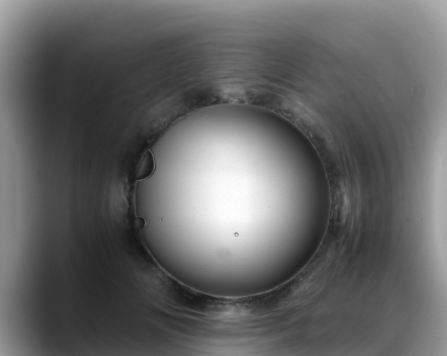 X0000088700702200706071540