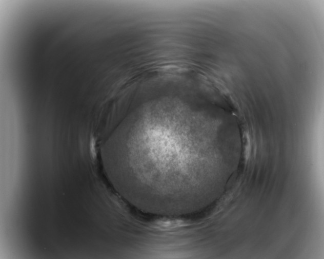 X0000088700712200706071540