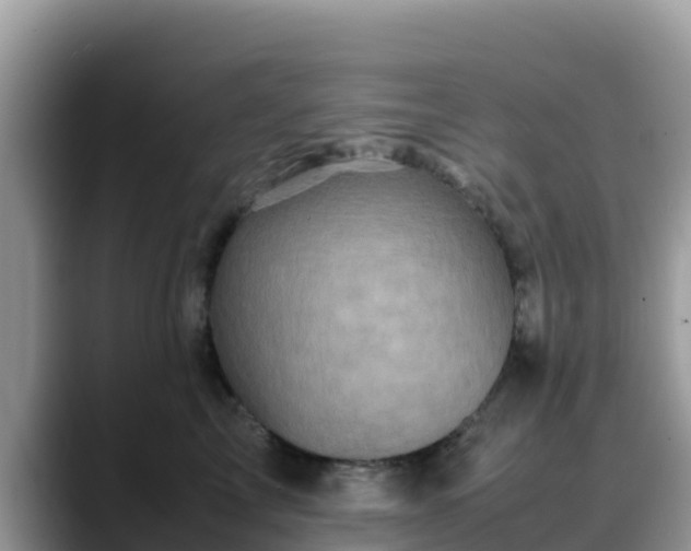 X0000088700713200706071540