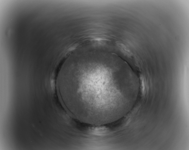X0000088700716200706071540