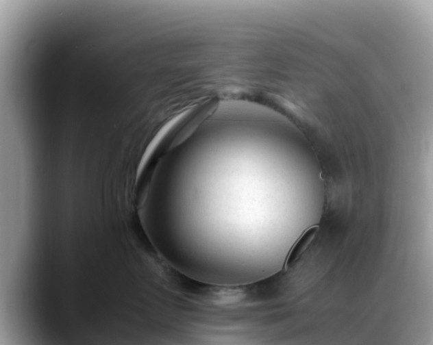 X0000088700719200706071540
