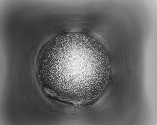 X0000088700721200706071539