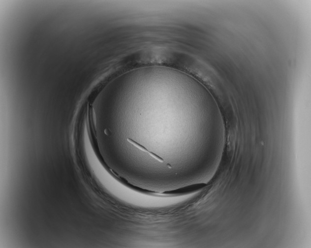 X0000088700722200706071539