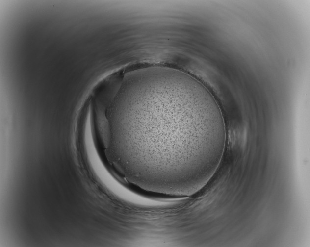 X0000088700724200706071539