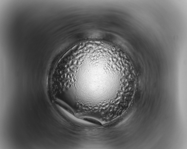 X0000088700725200706071539