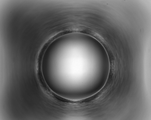 X0000088700726200706071539