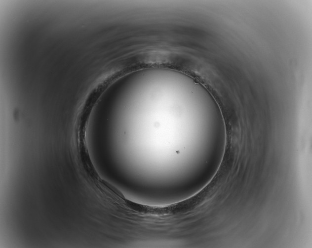 X0000088700727200706071539