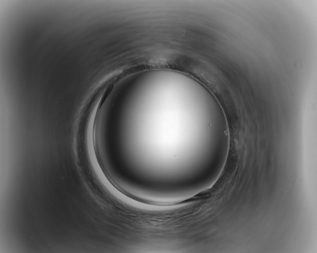 X0000088700728200706071539