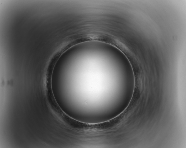 X0000088700730200706071539