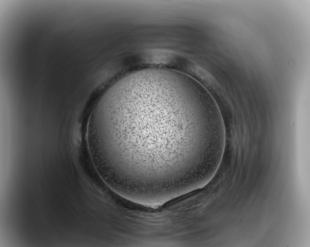 X0000088700731200706071539