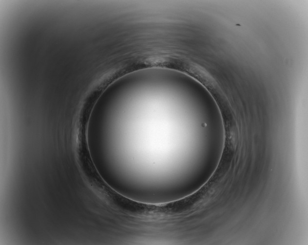 X0000088700732200706071539