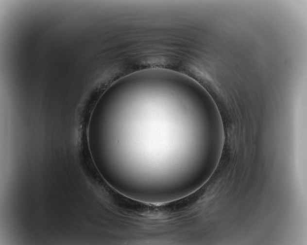 X0000088700735200706071539