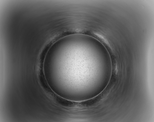 X0000088700736200706071539