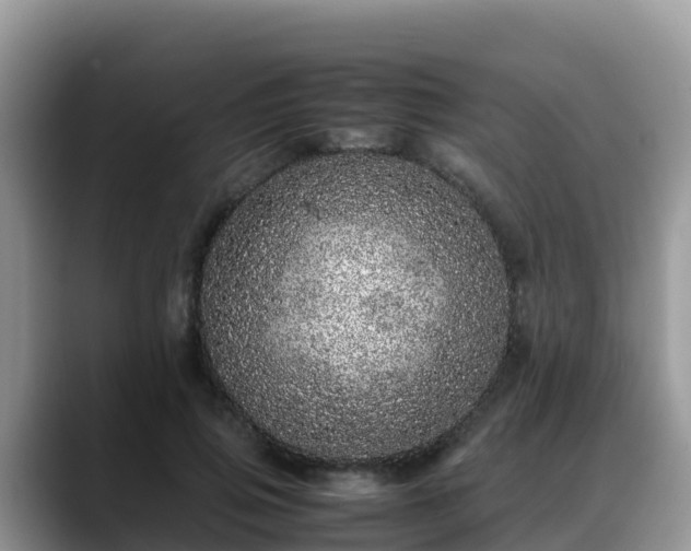 X0000088700741200706071539