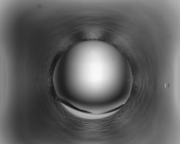 X0000088700743200706071539