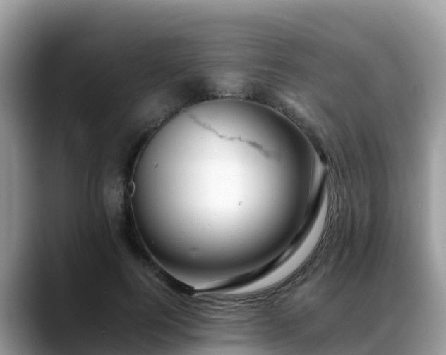 X0000088700744200706071539